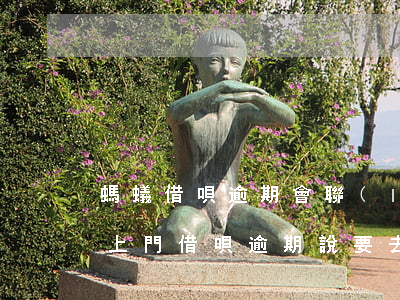 螞蟻借唄逾期會聯(lián)系村委會要上門 借唄逾期說要去村委會
