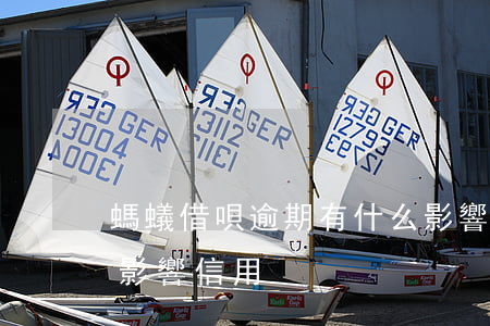 螞蟻借唄逾期有什么影響(螞蟻借唄逾期多久影響信用)
