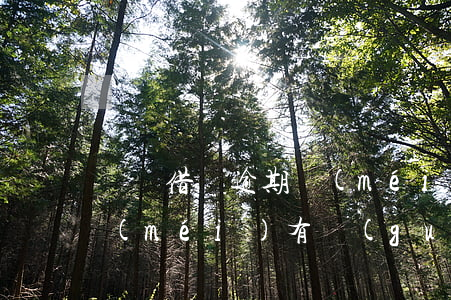 螞蟻借唄逾期沒(méi)法借款了(借唄沒(méi)有過(guò)逾期為啥不能借了)
