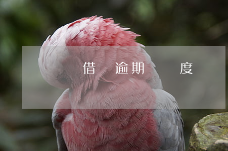 螞蟻借唄逾期 沒額度(螞蟻借唄逾期 沒額度)