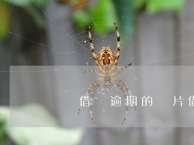螞蟻借唄逾期的圖片(借唄逾期不讓借的圖片)