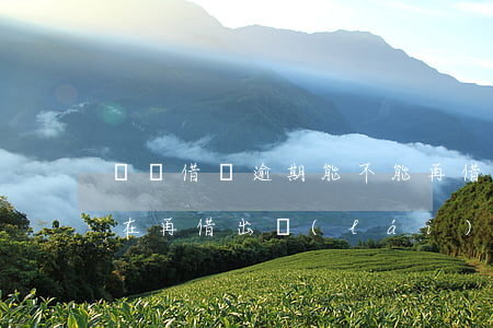 螞蟻借唄逾期能不能再借(借唄逾期了還可以在再借出來(lái)嗎?)