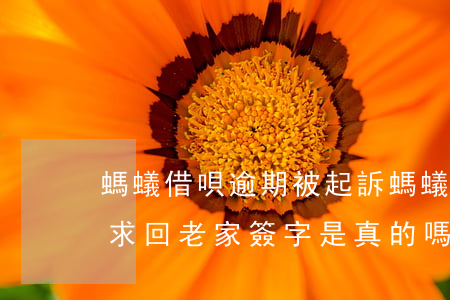 螞蟻借唄逾期 被起訴(螞蟻借唄逾期被起訴要求回老家簽字是真的嗎)