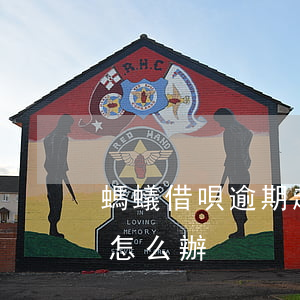 螞蟻借唄逾期起訴怎樣撤訴(借唄逾期起訴后怎么辦)