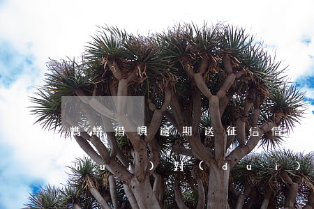 螞蟻借唄逾期 送征信 借唄征信逾期記錄會(huì)對(duì)個(gè)人造成什么影響