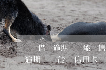 螞蟻借唄逾期過還能辦信用卡嗎-螞蟻借唄逾期過還能辦信用卡嗎安全嗎