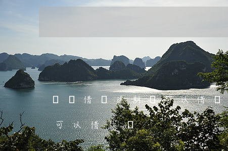 螞蟻借唄逾期還可以借嗎(借唄逾期還進去還可以借款嗎?)