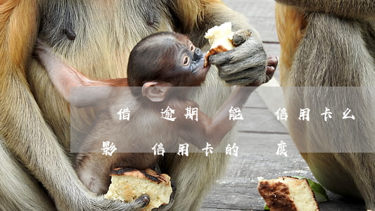 螞蟻借唄逾期還能辦信用卡么(螞蟻借唄逾期會影響信用卡的額度嗎)