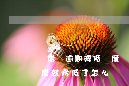 螞蟻借唄逾期降低額度嗎(螞蟻借唄逾期一天額度就降低了怎么辦)