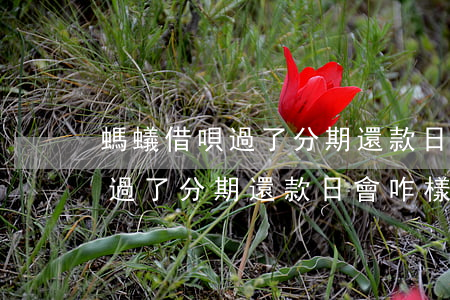 螞蟻借唄過了分期還款日會咋樣-螞蟻借唄過了分期還款日會咋樣呢