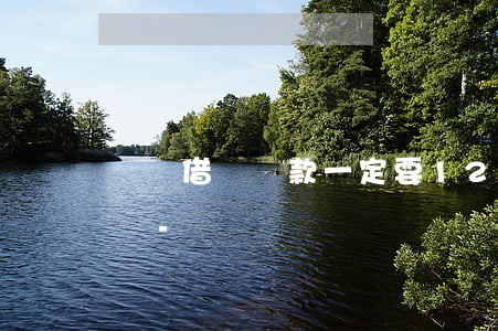 螞蟻借唄還款一定要12點(diǎn)前嗎-
