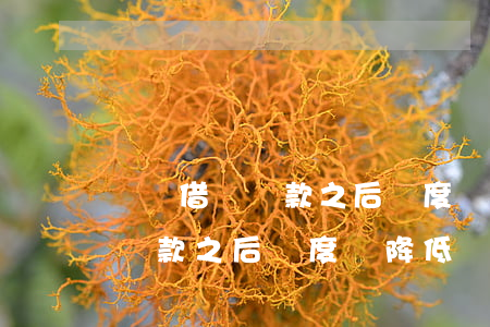 螞蟻借唄還款之后額度會降低嗎-螞蟻借唄還款之后額度會降低嗎知乎