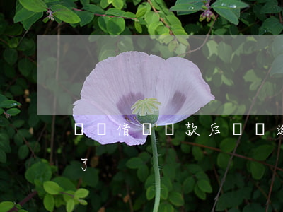 螞蟻借唄還款后還說逾期(借唄逾期5天后還了)