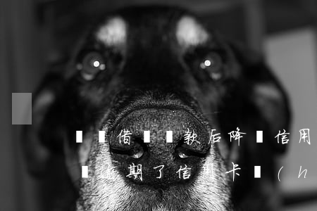 螞蟻借唄還款后降額信用卡花唄面臨逾期 借唄逾期了信用卡會(huì)不會(huì)降額
