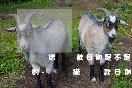 螞蟻借唄還款日期是不是統(tǒng)一的-螞蟻借唄還款日期都是一樣的嗎