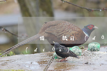 螞蟻借唄還款日當(dāng)天最遲幾點(diǎn)還-螞蟻借唄還款日當(dāng)天最遲幾點(diǎn)還款