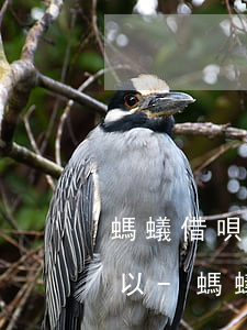 螞蟻借唄還款日當(dāng)天還可不可以-螞蟻借唄還款日當(dāng)天還可不可以分期