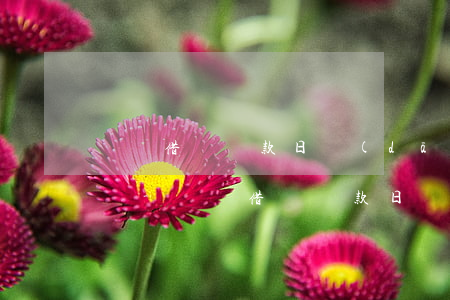 螞蟻借唄還款日當(dāng)天還款可以嗎-螞蟻借唄還款日當(dāng)天還款可以嗎安全嗎