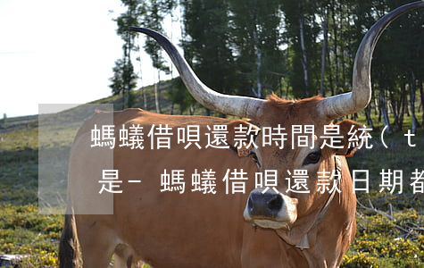 螞蟻借唄還款時間是統(tǒng)一的還是-螞蟻借唄還款日期都是一樣的嗎