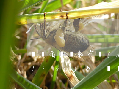 螞蟻借唄還款有問(wèn)題找哪里聯(lián)系-螞蟻借唄還款有問(wèn)題找哪里聯(lián)系客服