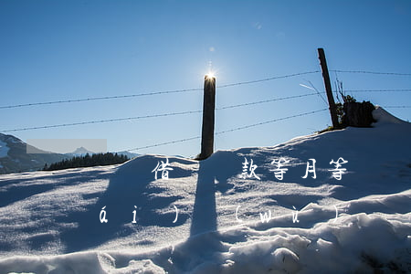 螞蟻借唄還款等月等額還款，輕松管理財(cái)務(wù)：螞蟻借唄提供等月等額還款選項(xiàng)