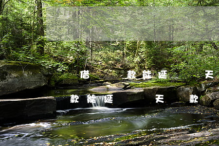 螞蟻借唄還款能延遲兩天還款嗎-螞蟻借唄還款能延遲兩天還款嗎