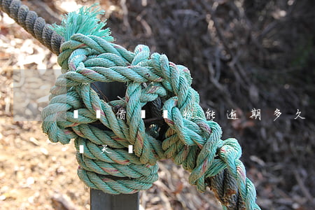 螞蟻借唄還款能逾期多久(支付寶借唄能逾期幾天還)
