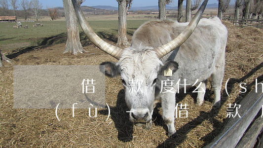 螞蟻借唄還款額度什么時(shí)候恢復(fù)-螞蟻借唄還款額度什么時(shí)候恢復(fù)正常