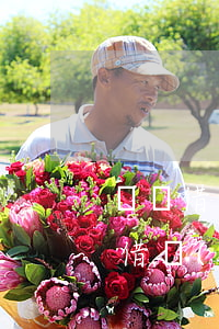 螞蟻借唄靠譜嗎可以提前還款嗎-螞蟻借唄借錢(qián)可以提前還嗎