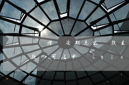 螞蟻借貸逾期怎么還款(支付寶借唄逾期后還款還可以申請(qǐng)貸款嗎)