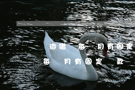螞蟻微借唄每個月有固定還款嗎-螞蟻微借唄每個月有固定還款嗎是真的嗎