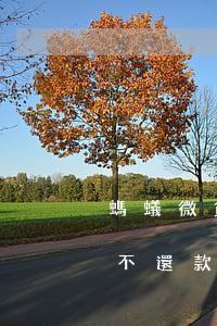 螞蟻微貸逾期可以協(xié)商 螞蟻微貸不還款會(huì)怎樣