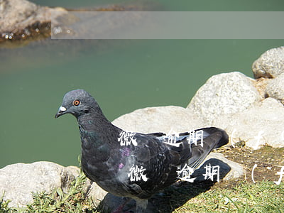 螞蟻微貸逾期發(fā)信息給我說要起訴(螞蟻微貸逾期發(fā)信息給我說要起訴)