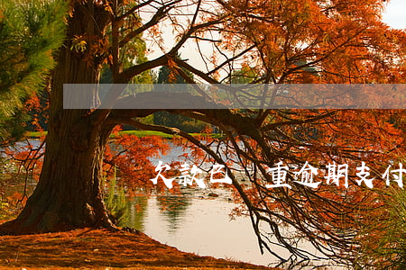 螞蟻欠款已嚴重逾期(支付寶欠款逾期一年)