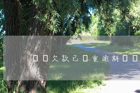螞蟻欠款已嚴重逾期（螞蟻逾期起訴額度）