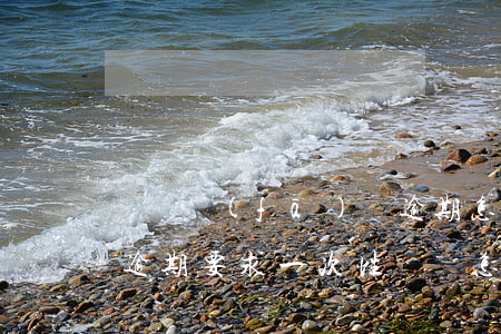 螞蟻發(fā)唄逾期怎么還款(支付寶借唄逾期要求一次性還錢怎么辦)