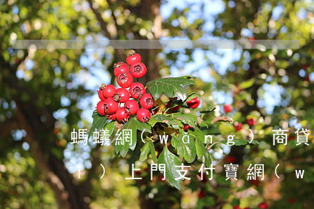 螞蟻網(wǎng)商貸逾期半年會(huì)上門(支付寶網(wǎng)商貸逾期半個(gè)月會(huì)催收嗎)