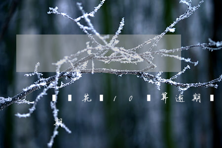 螞蟻花唄10號算逾期(螞蟻花唄10號算逾期)