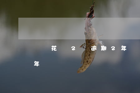 螞蟻花唄2萬逾期2年(螞蟻借了2萬逾期兩年)