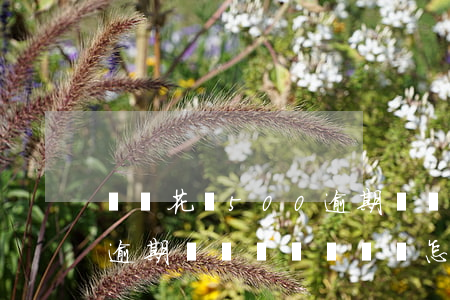 螞蟻花唄500逾期沒還(花唄欠5000元逾期長時間沒錢還會怎么樣)