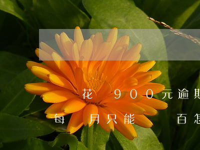 螞蟻花唄900元逾期(花唄逾期10000每個月只能還幾百怎么辦)