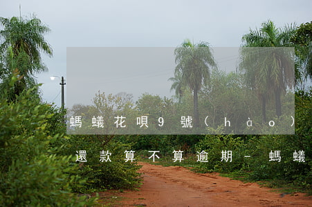 螞蟻花唄9號(hào)當(dāng)天還款算不算逾期-螞蟻花唄9號(hào)當(dāng)天還款算不算逾期了