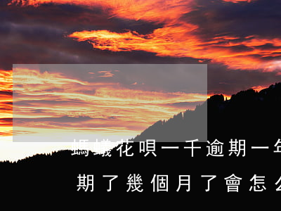 螞蟻花唄一千逾期一年(花唄逾期兩千塊錢 逾期了幾個月了會怎么樣)