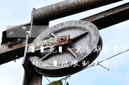 螞蟻花唄一旦逾期全額(花唄逾期全款已還,為什么還被限制使用了)