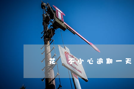 螞蟻花唄不小心逾期一天