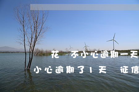螞蟻花唄不小心逾期一天會被停嗎-花唄不小心逾期了1天,對征信有影響嗎