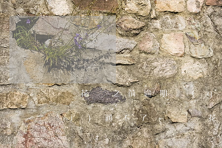 螞蟻花唄之前逾期過(guò)怎么開(kāi)通不了-螞蟻花唄之前逾期過(guò)怎么開(kāi)通不了了
