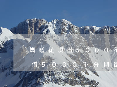 螞蟻花唄借5000不分期還款-螞蟻花唄借5000不分期還款會怎么樣