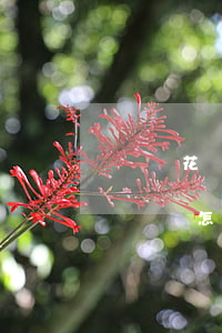 螞蟻花唄借唄暫時(shí)無(wú)力償還怎么辦-螞蟻花唄借唄暫時(shí)無(wú)力償還怎么辦啊