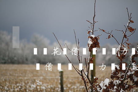 螞蟻花唄借唄暫時無力償還怎么辦-螞蟻花唄借唄暫時無力償還怎么辦啊